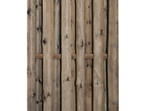 Schwartenzaun LANGEOOG LAN02