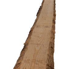 unbes. Carolina-Pine KD
