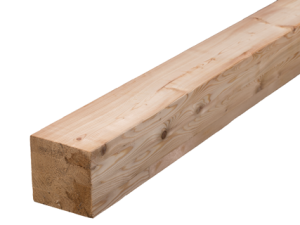 BSH Sibirische Lärche GL24c SI – 80 × 240 mm × 13 m