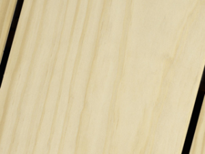 Accoya Select Magnum