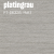 platingrau (FT-56328)