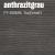 anthrazitgrau (FT-20928)