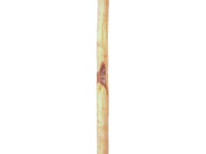 ROLLO-Zaunpfahl
Länge: 250 cm
d ca. 8-10 cm