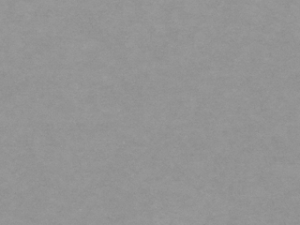 Forescolor Board 'LightGrey' – Homogen durchgefärbte Holzfaserplatte – Feuchtebeständig – in Anlehnung an V313 Hohe Rohdichte