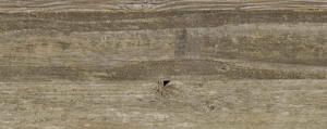 WoW! Wood on Walls – WoW! Wood on Walls Solid Old 'Grau'-N-IF-20 edelfurnierte Paneele für die Wandgestaltung Rückseite m