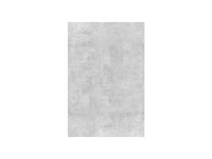 VETRO Glasscheibe BETON
B 1200 x H 1800 mm
Motivdruck Beton 46/24