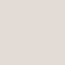 FENIX THIN FX0766 NTM Bloom