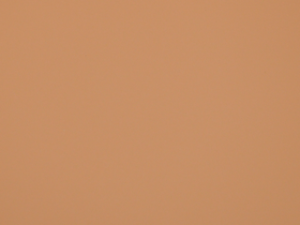 FENIX Verbund FX0791 Bloom NTM