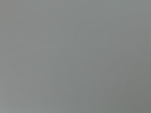 Homapal Magnethaftplatte 8225