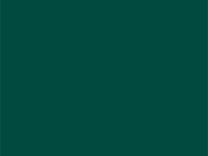maxPlan Compactplatte 0591