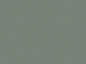 EGGER Lackplatte U604 TM