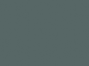 EGGER Lackplatte U665 TM