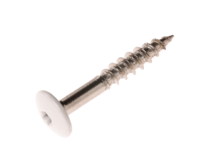 Fassadenschrauben V4A m. Torx – M 5 – 5x35 mm weiß – à 100 St.
