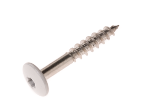 Fassadenschrauben V4A m. Torx – M 5 – 5x35 mm hellgrau – à 100 St.