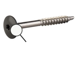 CEDRAL Fassadenschr.C01 VE100