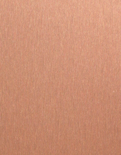 ABS 447