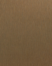 ABS 451