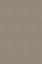 EGGER ABS 23×0,8mm F424 ST10