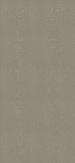 EGGER ABS 23×0,8mm F424 ST10