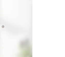 L&H Ganzglasschiebetür ESG – Modell Satinato – Griffbohrung für Griffmuschel M60/M70 links/rechts verwendbar