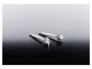 Edelstahlschrauben (selbstbohrend)
5,5 x 50 mm für Stahl-UK
inkl. Dichtscheibe